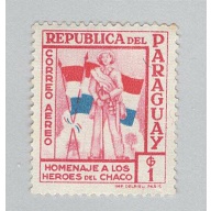 Paraguay C238 Soldier and Flags MNG 3  (BP96814)