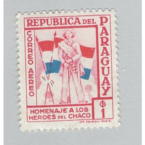 Paraguay C238 Soldier and Flags MNG 1  (BP96815)