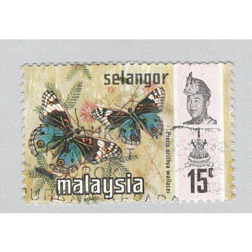 Malaysia Selangor 133 Butterflies Used 2  (BP96911)