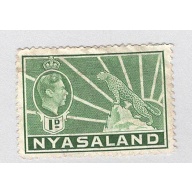 Nyasaland 55A Leopard Used 1 (BP97601)