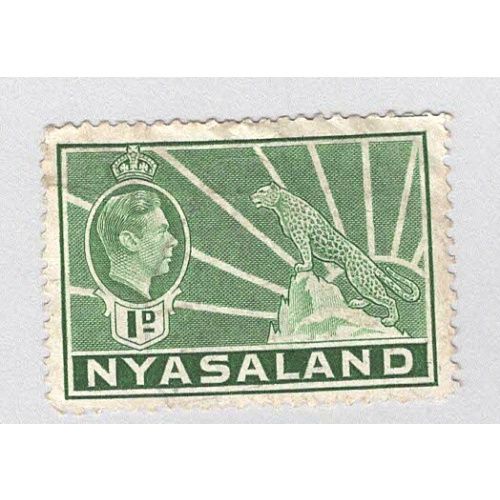 Nyasaland 55A Leopard Used 1 (BP97601)
