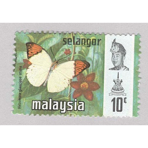 Malaysia Selangor 132 Butterflies Used 2  (BP98325)