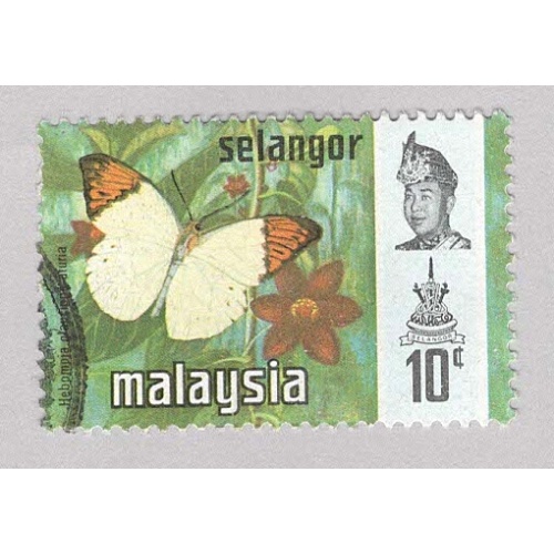Malaysia Selangor 132 Butterflies Used 1  (BP98327)