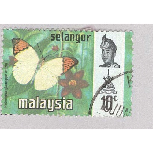 Malaysia Selangor 132 Butterflies Used 2  (BP98328)