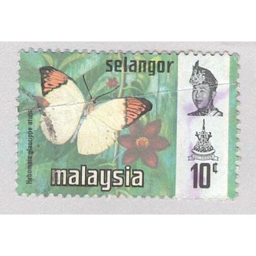 Malaysia Selangor 132 Butterflies Used 1  (BP98401)