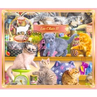 Madagascar 2022 Sheet  Cats kittens animals breeds 1 value (TS0062)