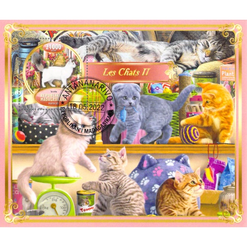 Madagascar 2022 Sheet  Cats kittens animals breeds 1 value (TS0062)