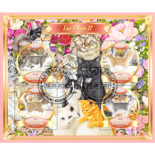 Madagascar 2022 Sheet  Cats breeds animals 6 values (TS0063)