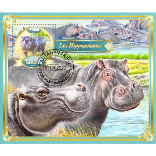 Madagascar 2022 Sheet  Hippos animals 1 value (TS0066)