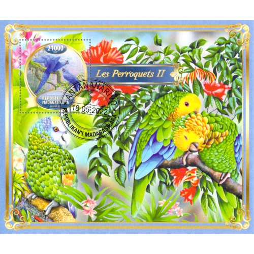 Madagascar 2022 Sheet  Parrots birds 1 value (TS0073)