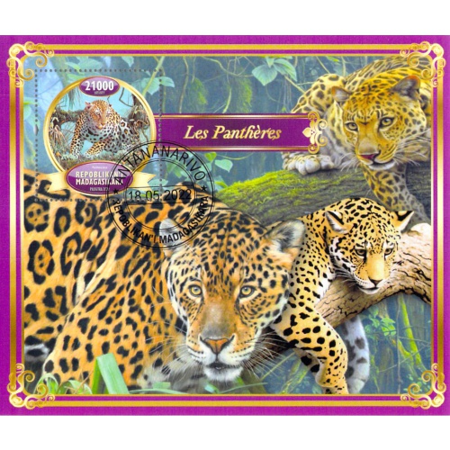 Madagascar 2022 Sheet  Leopard big cats 1 value (TS0074)