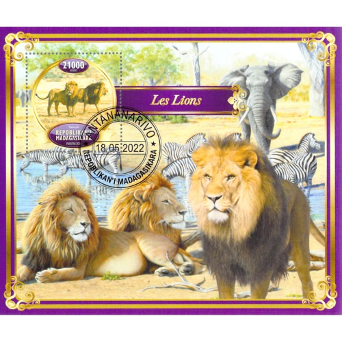 Madagascar 2022 Sheet  Lion Zebra Elephant animal big cats 1 value (TS0076)