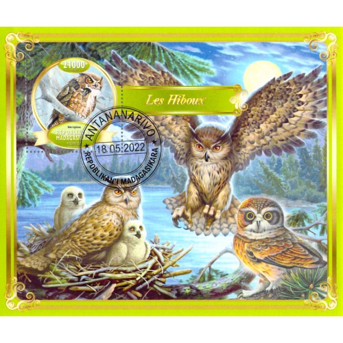 Madagascar 2022 Sheet  Owls birds 1 value (TS0093)