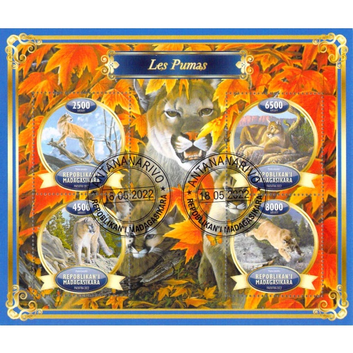 Madagascar 2022 Sheet  Mountain Lion Puma 5 values (TS0101)