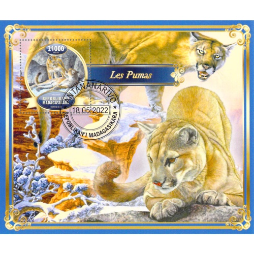 Madagascar 2022 Sheet  Mountain Lion Puma 1 value (TS0102)