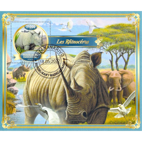 Madagascar 2022 Sheet  Rhinoceros Rhino animal 1 value (TS0103)