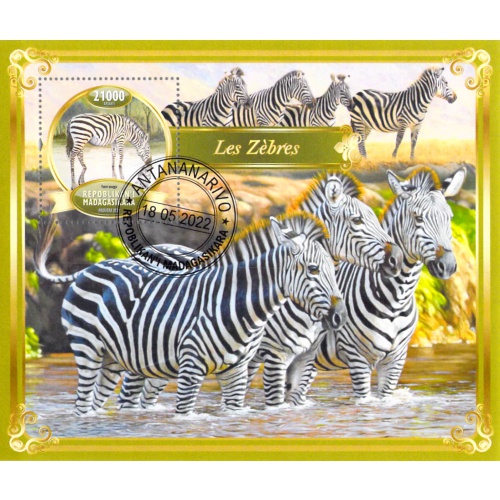 Madagascar 2022 Sheet  Zebras animals 1 value (TS0117)