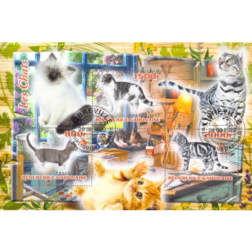Gabon 2022 Sheet  House cats different breeds 3 values (TS0167)