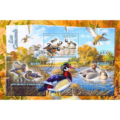 Gabon 2022 Sheet  Ducks birds 3 values (TS0168)