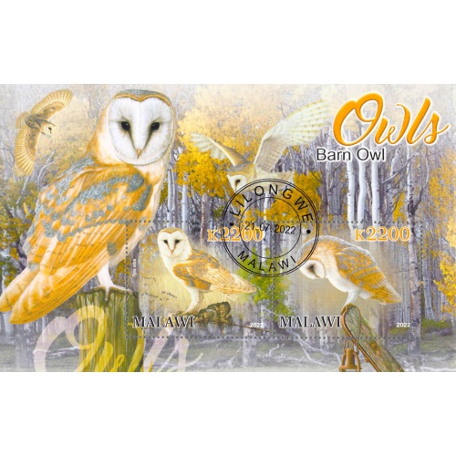 Malawi 2022 Sheet  Barn Owl wildlife bird 2 values (TS0173)