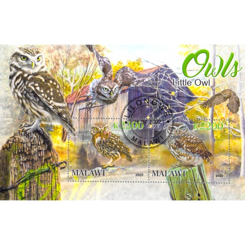Malawi 2022 Sheet  Little Owl wildlife bird 2 values (TS0174)