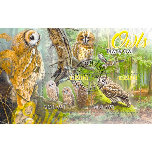 Malawi 2022 Sheet  Tawny Owl wildlife bird 2 values (TS0175)