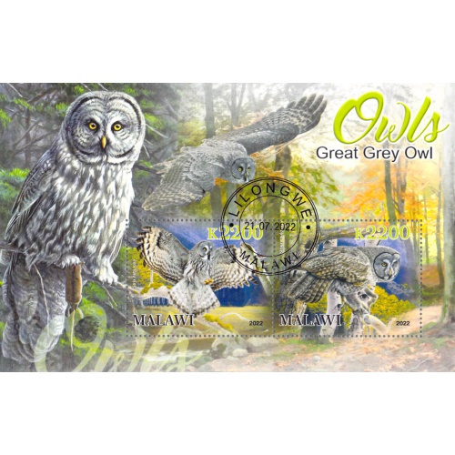Malawi 2022 Sheet  Great Grey Owl wildlife bird 2 values (TS0178)