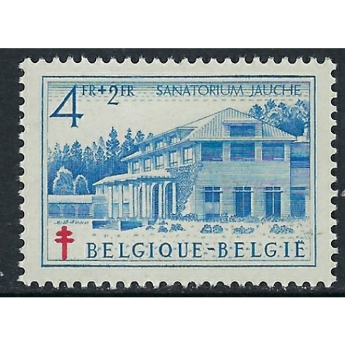 Belgium B490 MLH 1950 issue (ak3364)