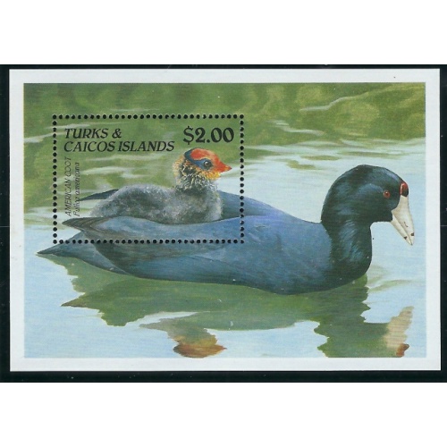 Turks and Caicos 868 MNH 1990 Ducks (ak5490)