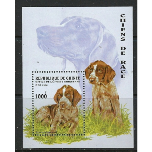 Guinea 1346 MNH 1996 Dogs souvenir sheet (ha1482)