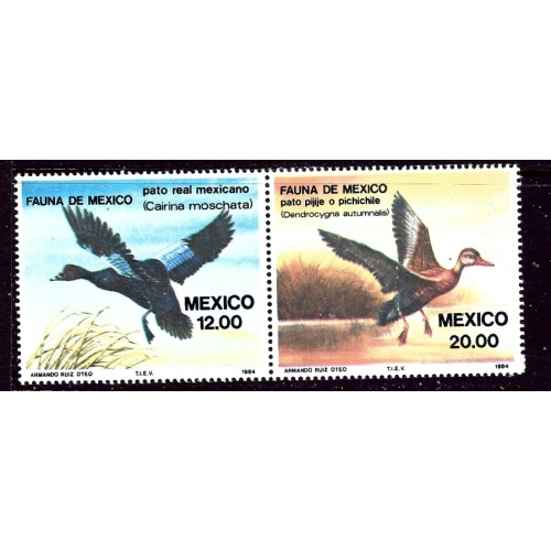 Mexico 1347a MNH 1984 Ducks    (ap4029)