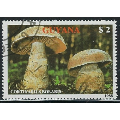 Guyana 2010a CTO 1989 issue (fe6994)