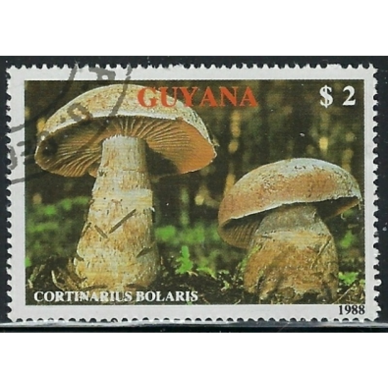 Guyana 2010a CTO 1989 issue (fe6994)