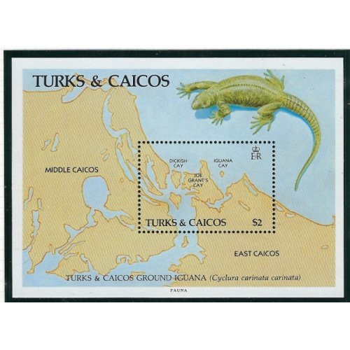 Turks and Caicos 714 MNH 1986 Iguana (ak5308)