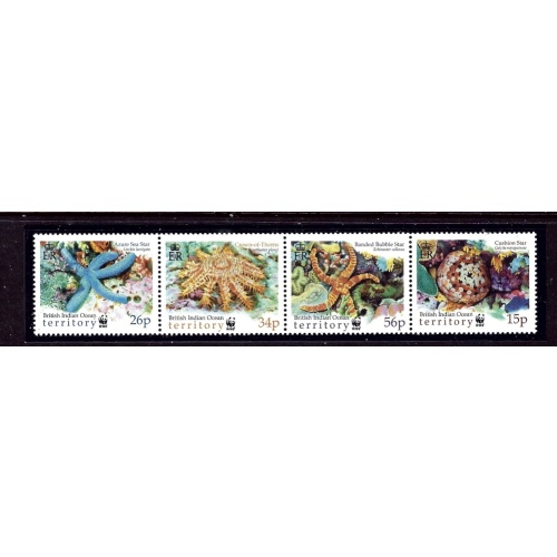 British Indian Ocean Terr 234a MNH Starfish (KB)    (ap3707)