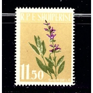 Albania 615 MNH 1962 Flowers