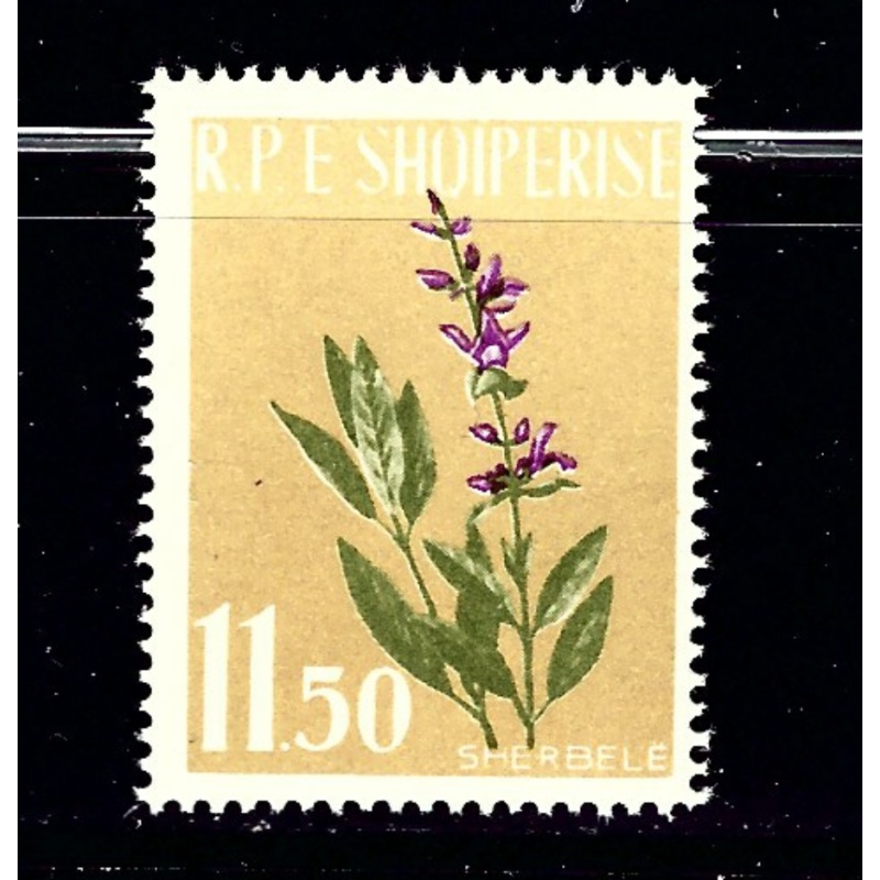 Albania 615 MNH 1962 Flowers