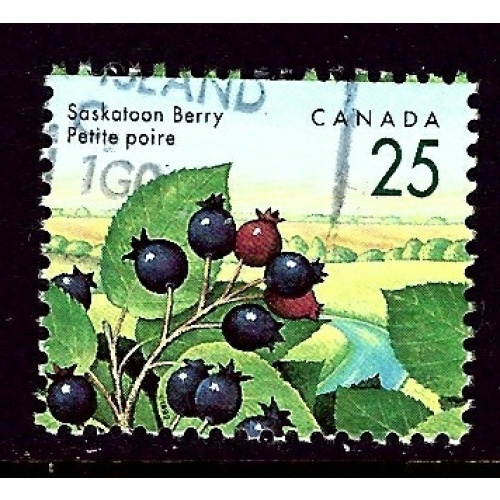 Canada 1355 Used 1991 issue    (ap3955)