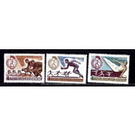 Russia 3075-77 MNH 1965 Sports (ap1540)