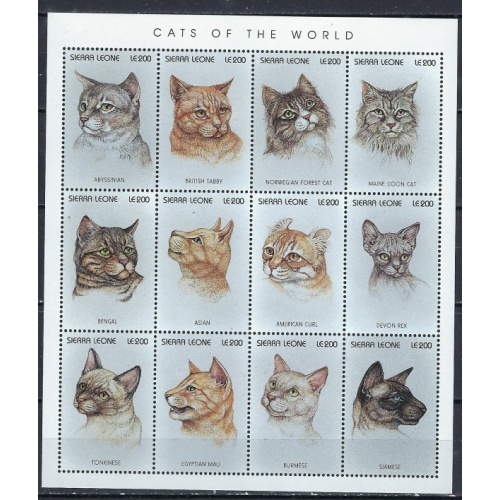Sierra Leone 1892 MNH 1996 Cats (ak2763)