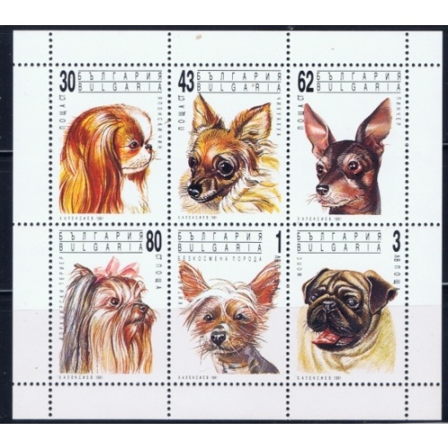 Bulgaria 3640a MNH 1994 Dogs sheet of 6 (an9391)