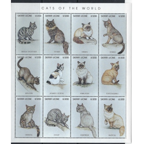 Sierra Leone 1893 MNH 1996 Cats sheet of 12 (ak2764)