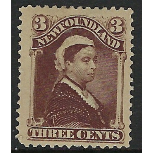 Newfoundland 51 No Gum 1887 issue (fe1373)