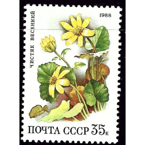 Russia 5691 MNH 1988 Flowers (an6581)