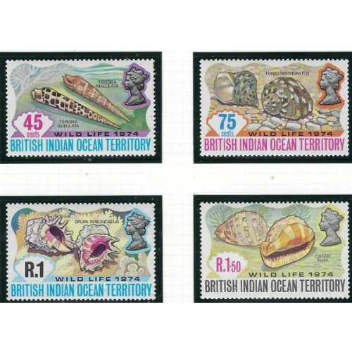 British Indian Ocean Terr 59-62 MNH 1974 Seashells (fe3857)