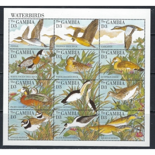 Gambia 1617 MNH 1995 Ducks sheet of 12 (ak5418)