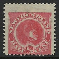 Newfoundland 57 MH 1896 issue (fe1376)