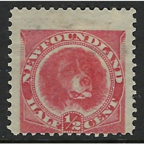 Newfoundland 57 MH 1896 issue (fe1376)
