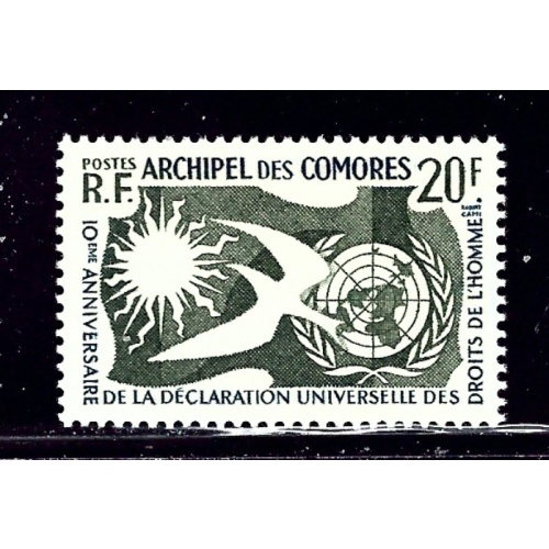 Comoro Is 44 MNH 1958 Human Rights    (ap2265)