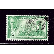 Barbados 217 Used 1950 Sugar Cane Breeding